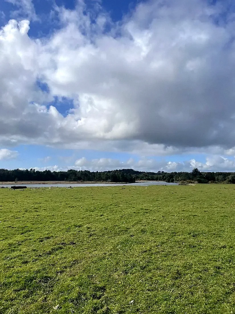 Paisaje campo y lago