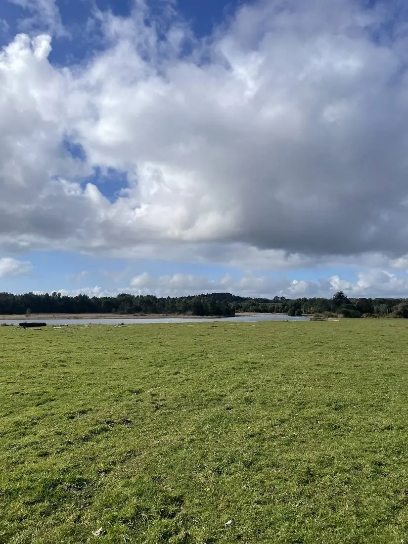 Paisaje campo y lago